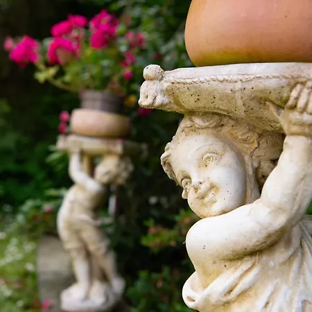 De Charme La Rose De Près Du Mont Saint Michel